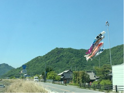 external_image